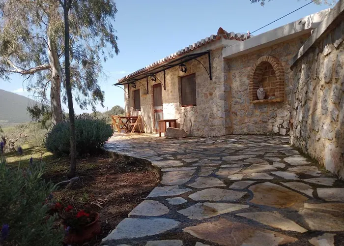 Meditation Olive House Pelei photo