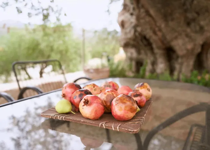 Ckamares Apartment Sykia  photo