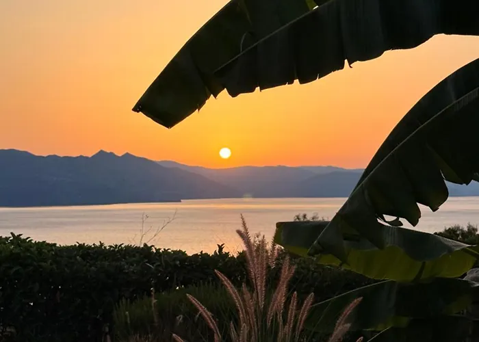 Levanda Home Taktikoupoli photo