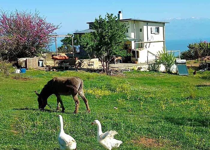 Batzanemi Guest House And Farm Throfárion foto